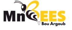 MnBees Bou Argoub 